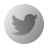 Twitter Icon